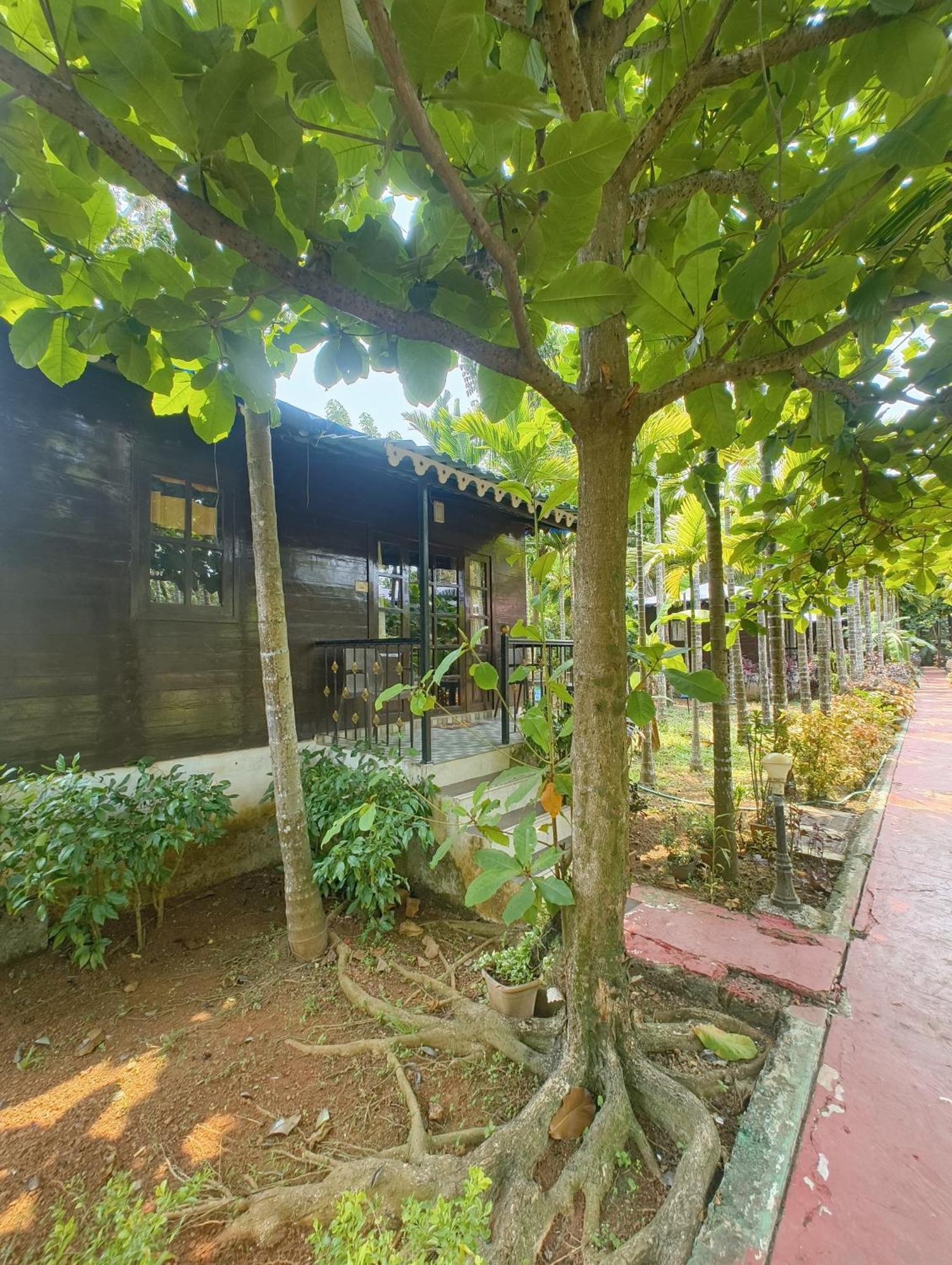 Go Green Spice&Eco Resort Cavelossim Exterior foto